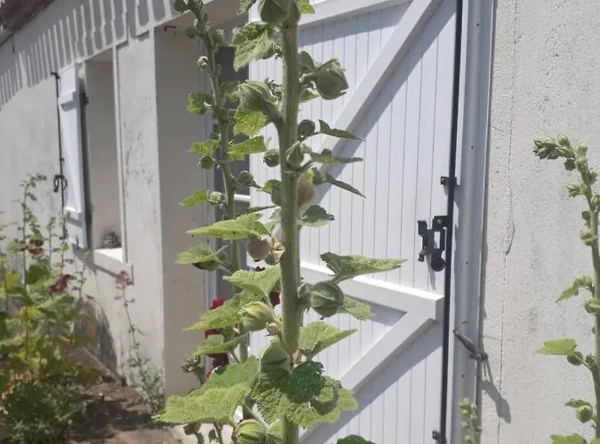 Madalny House La Garnache